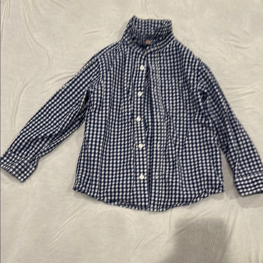 Gymboree Blue and White Gingham Button Down Shirt